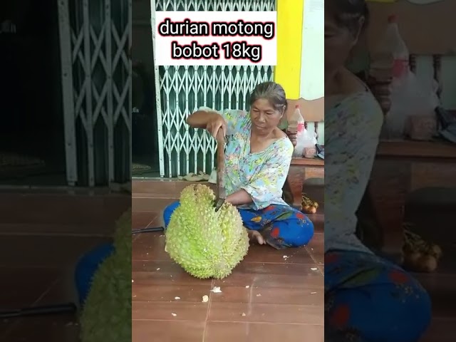 durian super jumbo #montong #musangking #durian class=