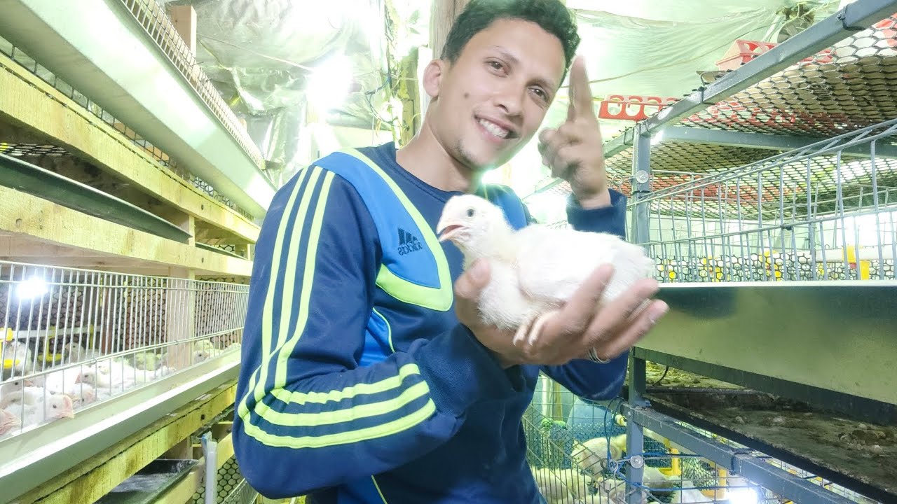 كيف يتم التخلص من الميكوبلازمة والعلاج النهائي لقضاء علي البرد