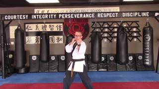 12 Punches- Hapkido