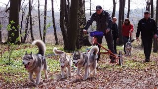 Хасколес 06.03.2014 Хасколес 06.03.2014