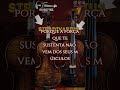 Violino disponível #gimenezluthieria