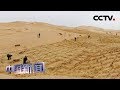 [中国新闻] 壮丽70年 奋斗新时代·甘肃武威 从“治沙”到“用沙”的求变之路 | CCTV中文国际