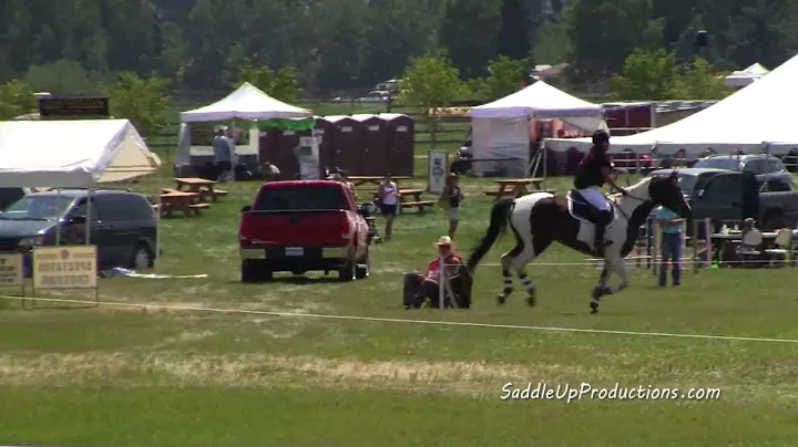 Janice Maurer riding Honest To Goodness Cross Coun...