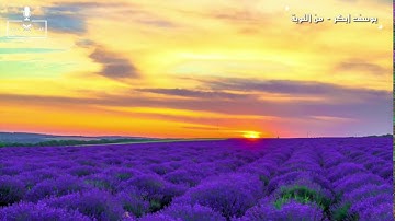 مقطع رائع للشيخ يوسف ابكر من سورة التوبة