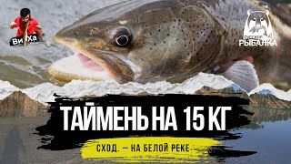 Река Белая - Огромный хищник (таймень) сошел. В чем ошибка в "Русская рыбалка 4"?