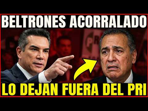 Beltrones asks for help! Alito accused him of killing Colosio! Their nervousness is showing!
