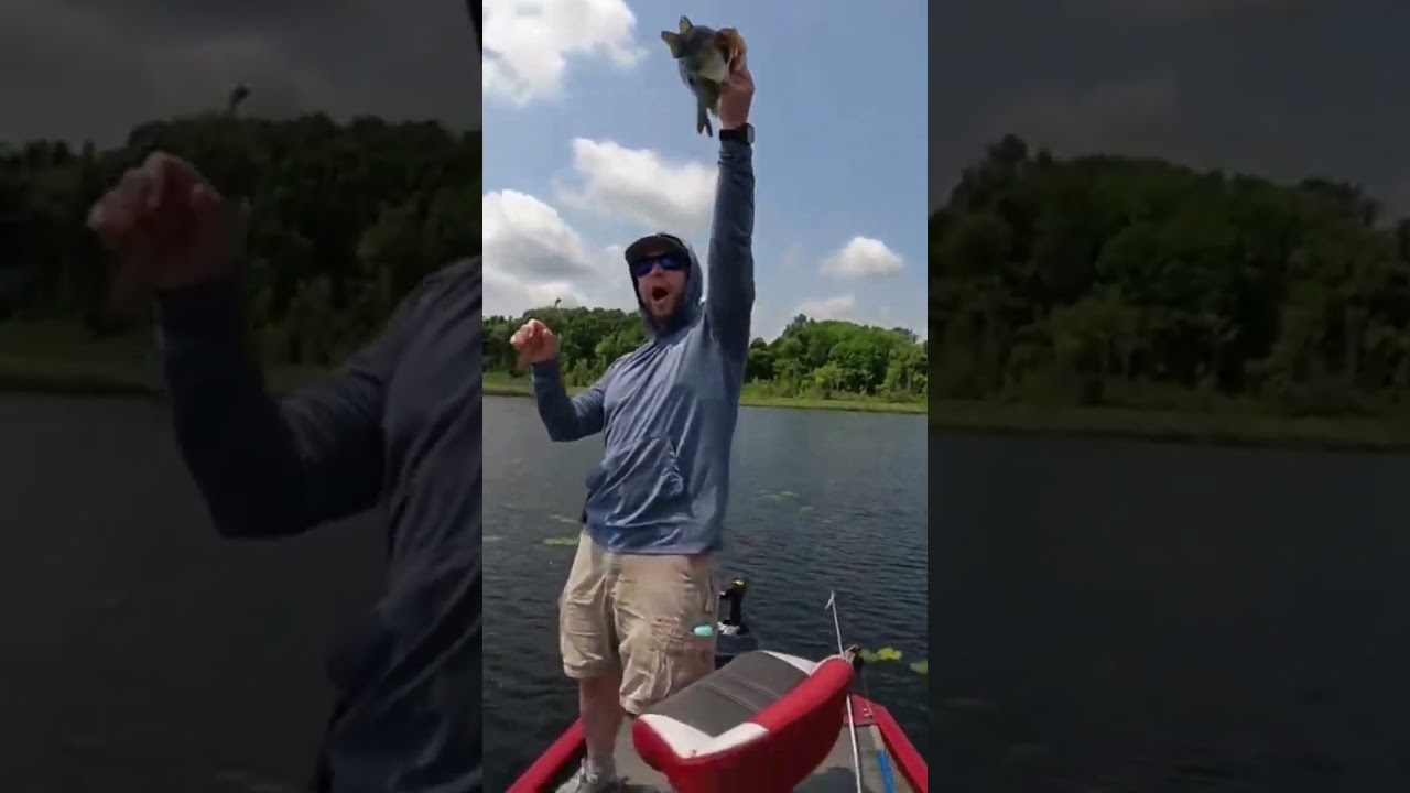 Best New Spring Time Creature Bait ! 6th Sense Bongo 3.7 