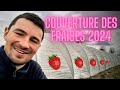 Couverture des tunnels de fraises 