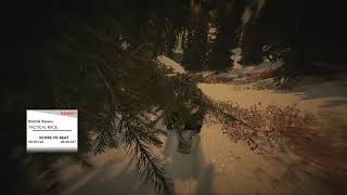 Steep - Easy Gold on Kitchik Racers