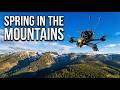 Spring in the mountains - FPV with SpeedyBee Mario5