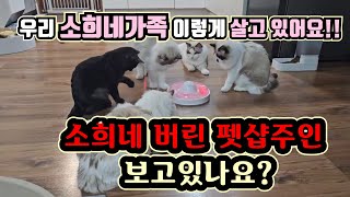 쓰레기집에서 굶어 죽어가던 고양이들 최근 근황 입니다 (고양이탐정)