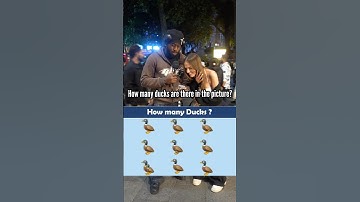 How many ducks are there in this picture? #guessinggame #game  #puzzle #quizz