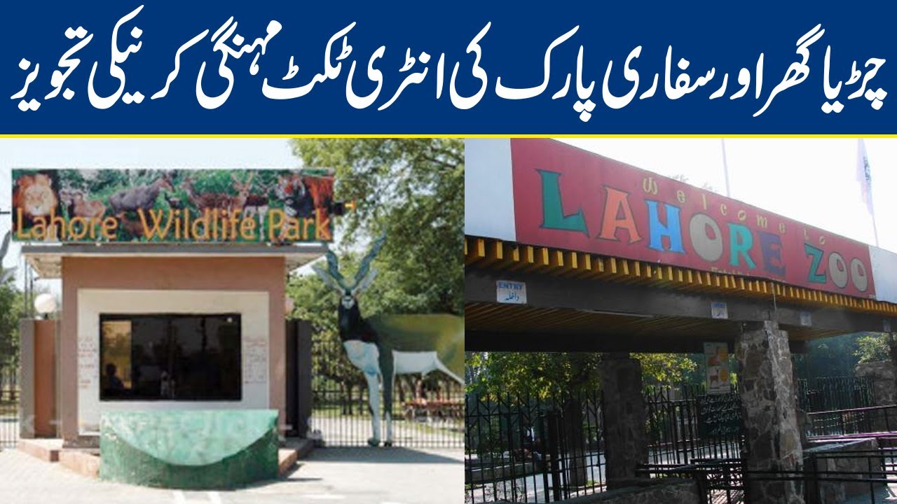Lahore Zoo Safari Park Ticket Price Likely To Increase YouTube lahore-zoo-safari-park-ticket-price-likely-to-increase-youtube