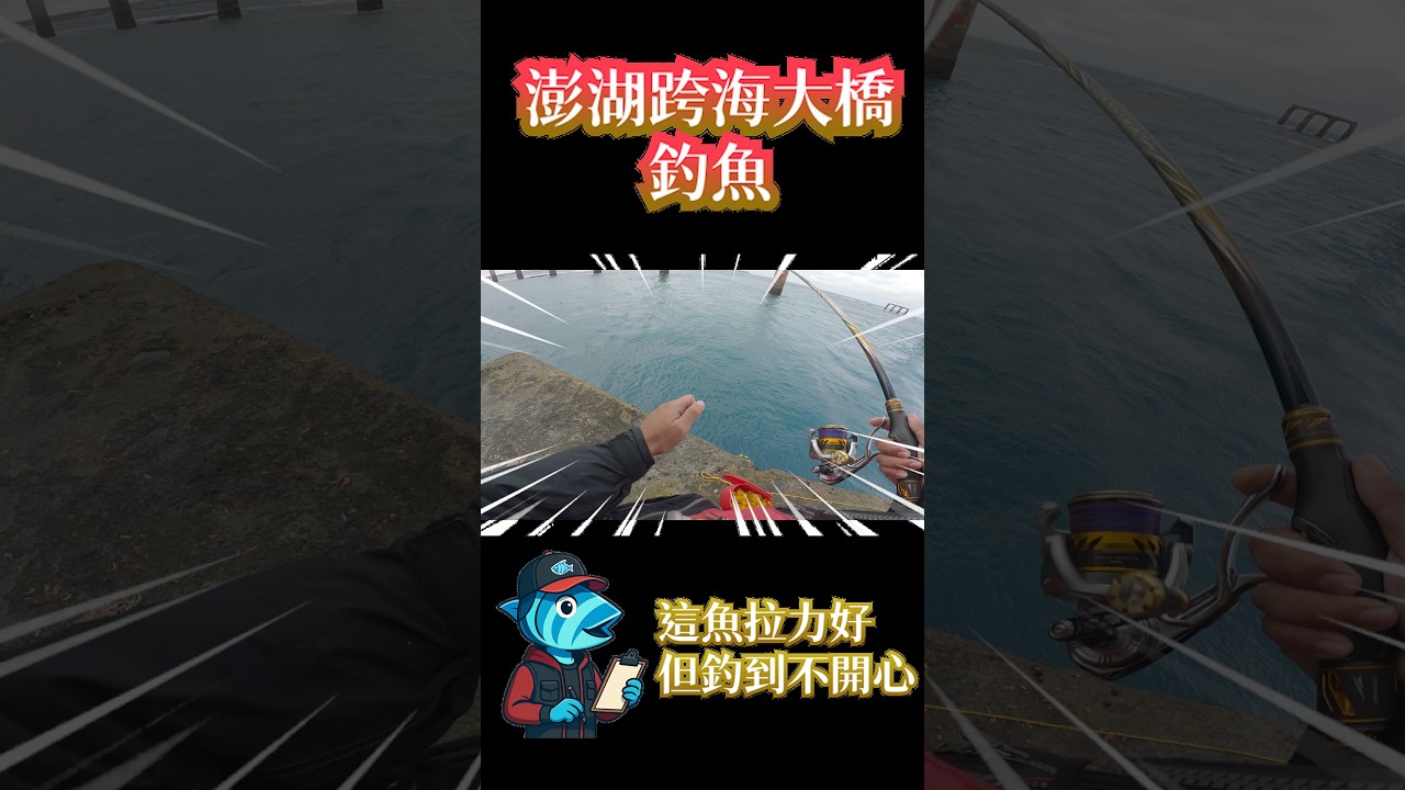 這魚頗大 但釣魚人不愛#跨海大橋 縮圖