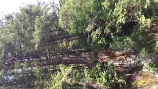 Kyle Ponciano Falls From Tree Into Washougal River, June 6, 2015