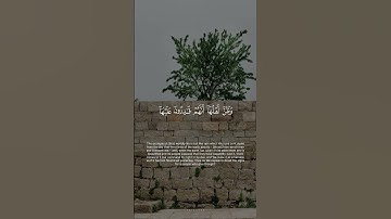 تلاوة خاشعة.#عاصم_اللحيدان #سورة_يونس #quran