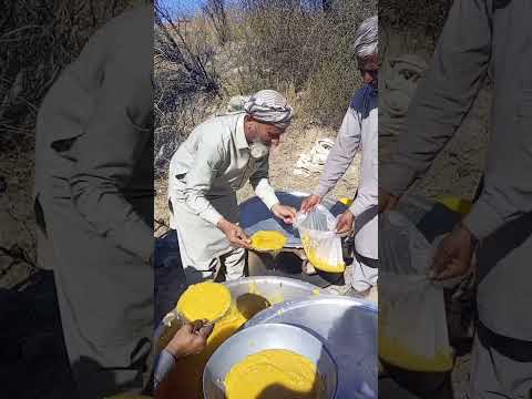 لنگر تقسیم