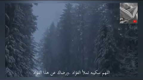 تلاوة خاشعة وآيات مباركة من سورة الفتح📚|القارئ عبدالرحمن مسعد|حالات واتس اب إسلامية💞