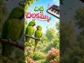 Chitti chilakamma piano tutorial #piano #viral #trending