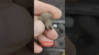 старинное поле, осенний коп. #старина #metaldetecting #equinox #крестик #подпишись #coin #серебро