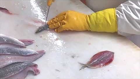 Filleting Sardines