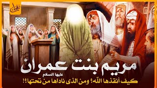 قصص القرآن - قصة السيدة مريم أم المسيح عيسى عليهما السلام وكيف أنقذها الله؟ومن الذى ناداها من تحتها؟