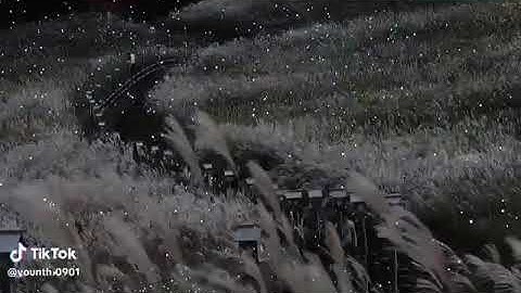 Đẹp nhỉ ?... #cachualanh #xuhuongyt #notoxic cre on vd