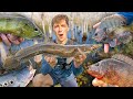 24 HOUR MULTI-SPECIES FISHING CHALLENGE!! (FLORIDA)