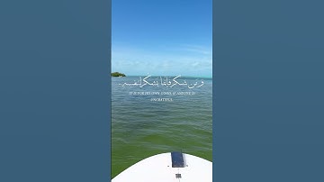 من سورة النمل الآية 40 بصوت الشيخ بلال دربالي