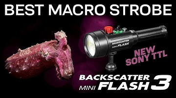 The Best Underwater Macro Strobe — Now with Sony TTL! Backscatter Mini Flash 3