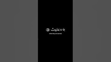 🔥 Surah Al-Anbiya🔥ماتيسر من سورة الأنبياء🌿قل إنما أنذركم بالوحي..🌿#quran_kareem #القران_الكريم