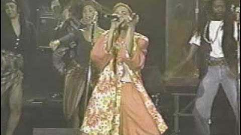 Wailing Souls - Shark Attack (Live)(Lyrics)
