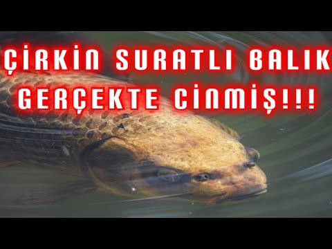 Gölün Altındaki Defineyi Koruyan Cinlerle Dost oldum TEK PART | #Korku Hikayeleri |#define | #Altın