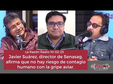 Javier Suárez, director de Senasag, afirma que no hay riesgo de contagio humano con la gripe aviar.