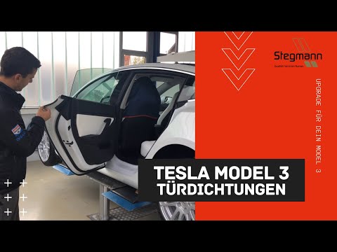 Tesla Model 3 Türdichtungen 