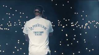 Booba - pitbull ( Live ) ( Stade de France )