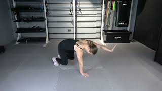 Bear Crawl 3 point circuit LEVEL 2 better