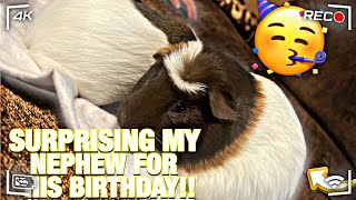 SURPRISING NEPHEW WITH FIRST PET!!!