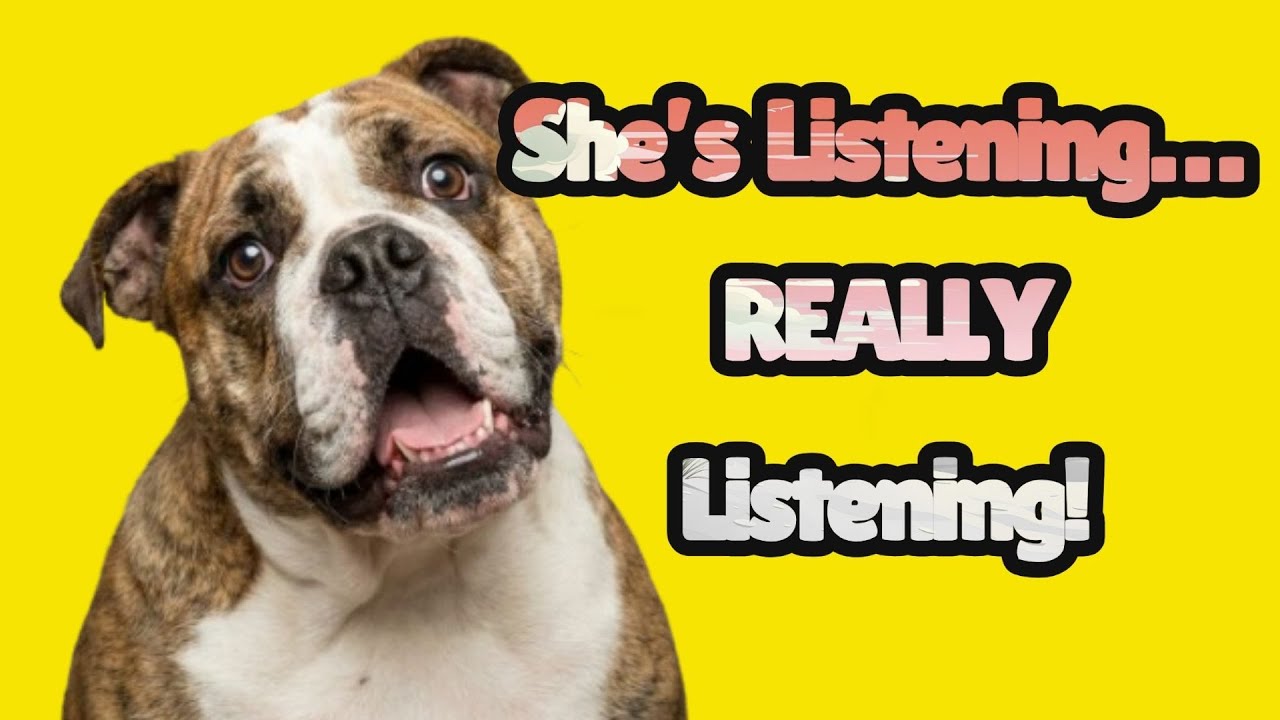 Your Dog Isn’t Just Reacting to Your Tone — Here’s Why!