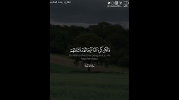 ﴿ولو أرادوا الخروج لأعدوا له عدة ولكن كره الله انبعاثهم ..﴾ | القارئ: راشد الحليبة
