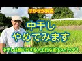 はかせが解説「中干しやめてみます」中干しは稲に対する人工的な老化スイッチ？