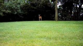 MOV02371.AVI