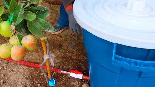 How to make AUTOMATIC DRIP IRRIGATION BY GRAVITY AND HOME of 100 liters.