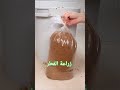 كيفيه زراعه الفطر في المنزل بخطوات بسيطة وسهلة جدآ جدآ مفيده للهواة المبتدئين