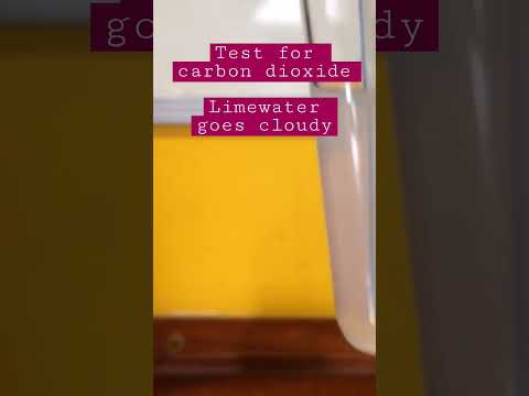 Test for carbon