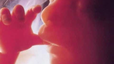 DG112 Abstract Thinking for Designers Ate Sens