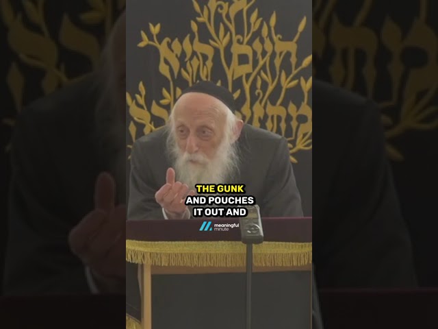 You are a Diamond - Rabbi Dr Abraham J Twerski