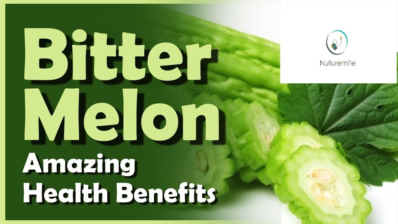 Bitter Melon Bitter Gourd Health Benefits Side Effects And Fun Facts Health Tips Youtube