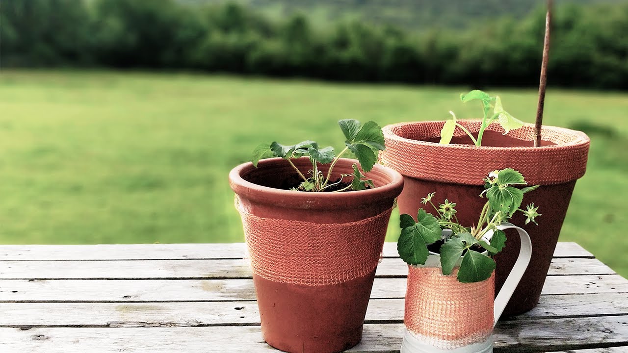 Growing Things and Making Things: Copper wire as slug deterrent: a