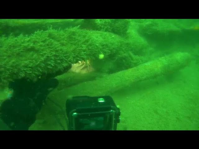 June 5, 2022 - open water diver class Three Oaks, Crystal Lake, IL - YouTube